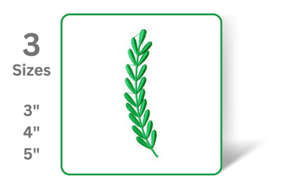 Delicate Branch Review